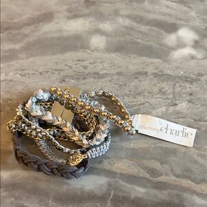 Charming‎ Charlie Silver and Gold Bracelet Collection